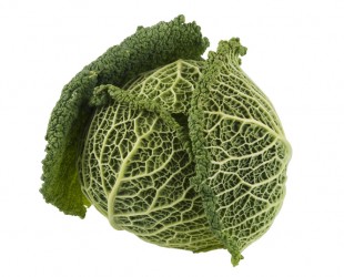 dreamstime kelj-310x250