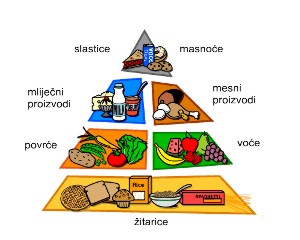 sl prehrana piramida